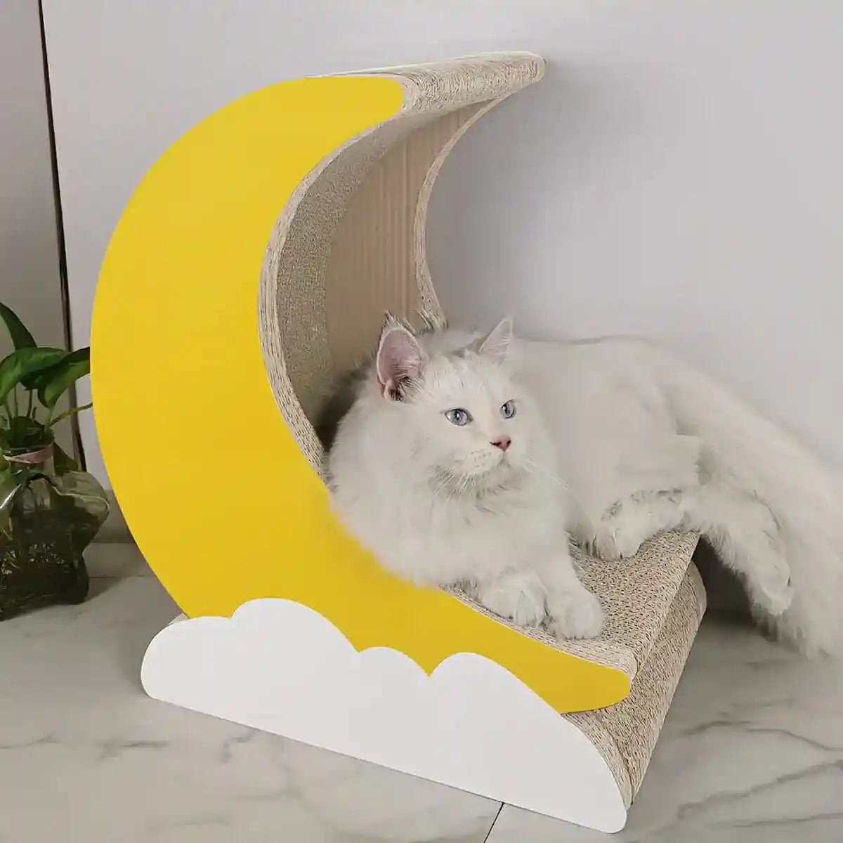 Moon Shape Cat Scratching Lounge with Cloud Base