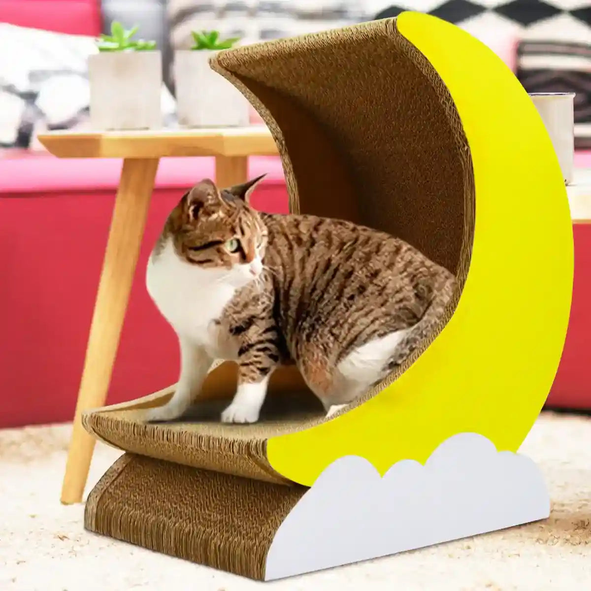 Moon Shape Cat Scratching Lounge with Cloud Base