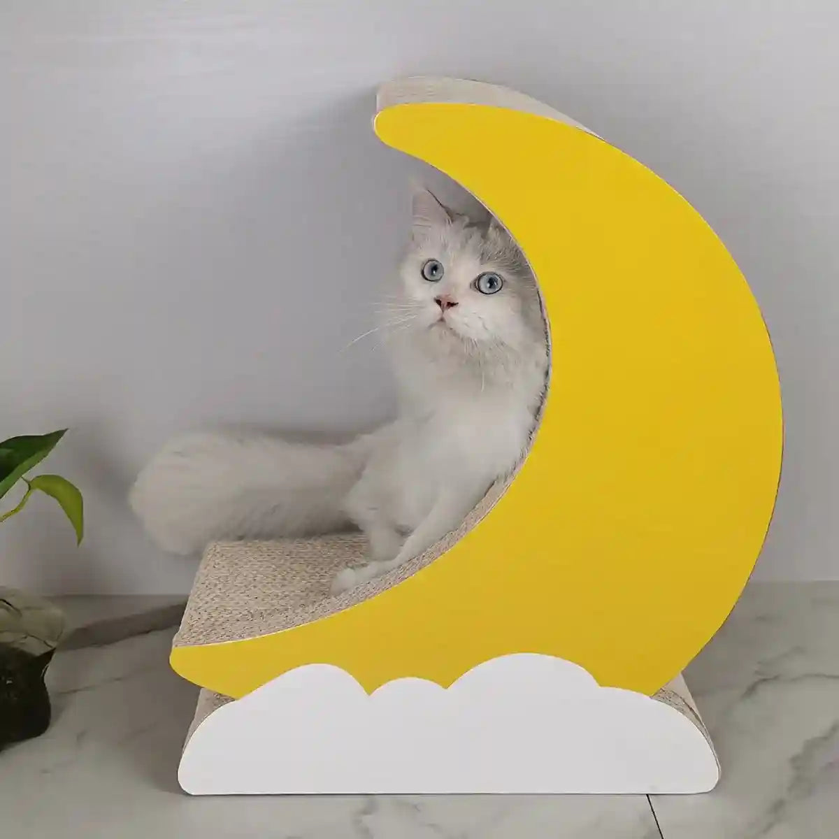 Moon Shape Cat Scratching Lounge with Cloud Base
