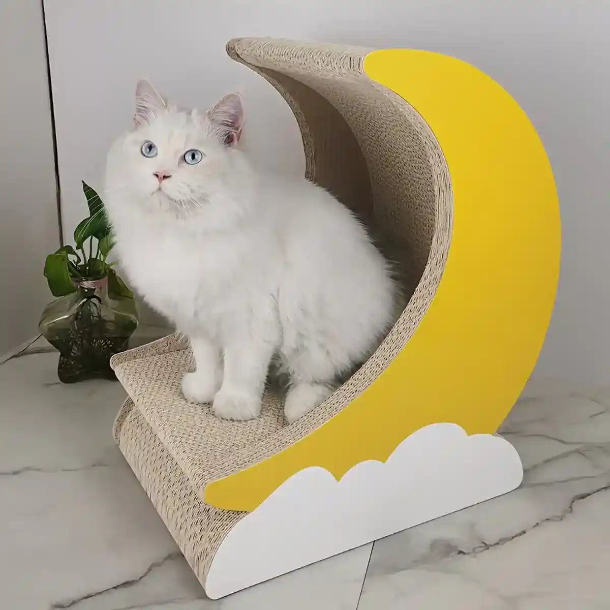 Moon Shape Cat Scratching Lounge with Cloud Base