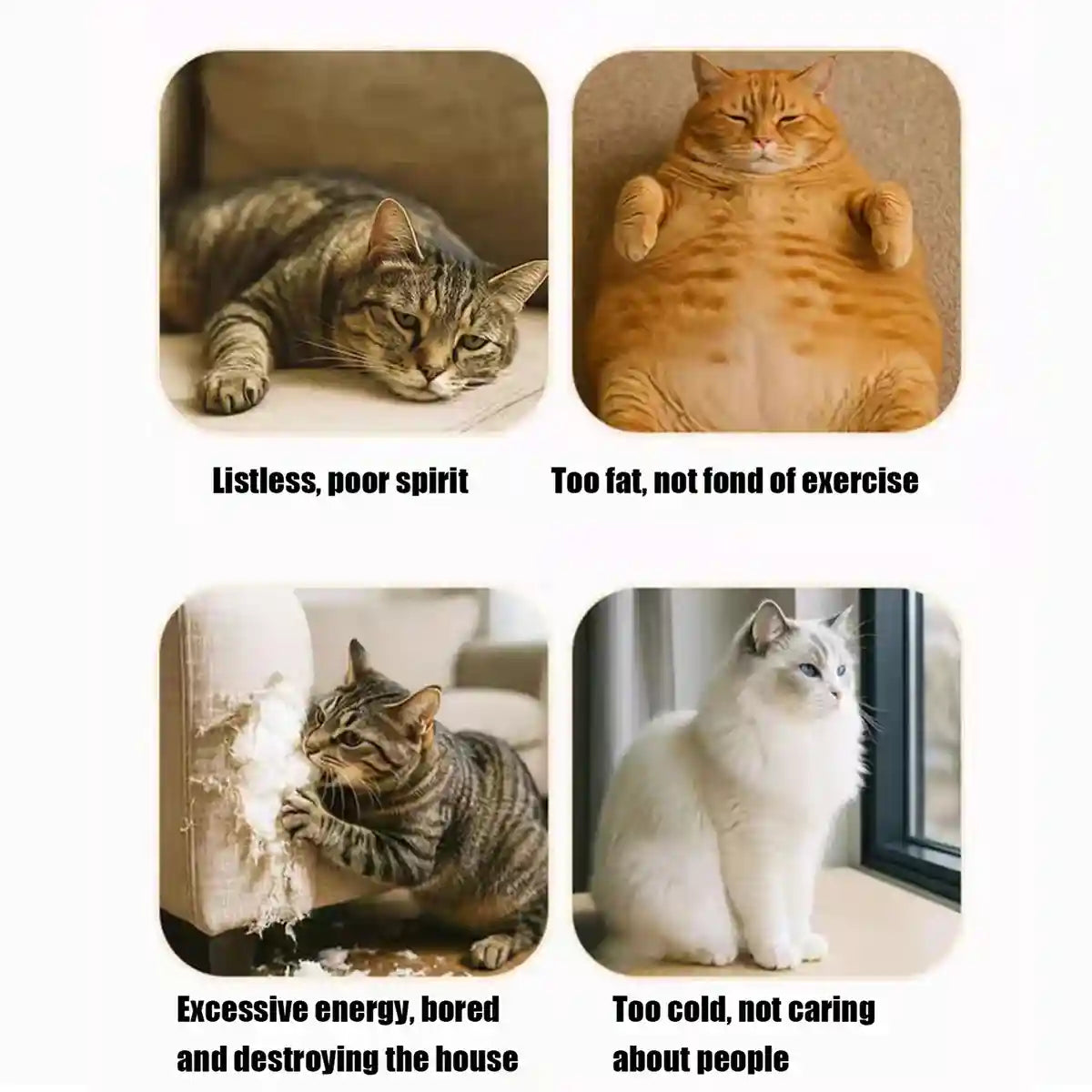 Felt Cat Puzzle Toy Maze Box 30cm Enrichment Game