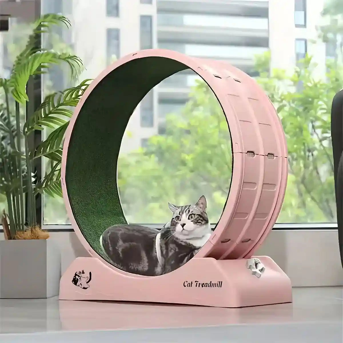 Cat Wheel Running Toy Fitness Exerciser Workout Treadmill Machine Circle Wood