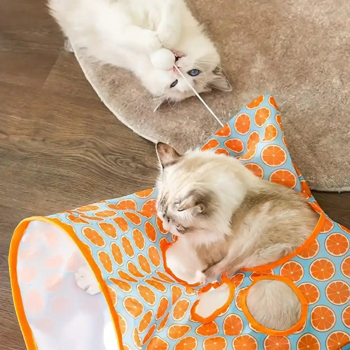 Interactive Foldable Cat Play Tunnel Crinkle Peek Holes & Hanging Balls