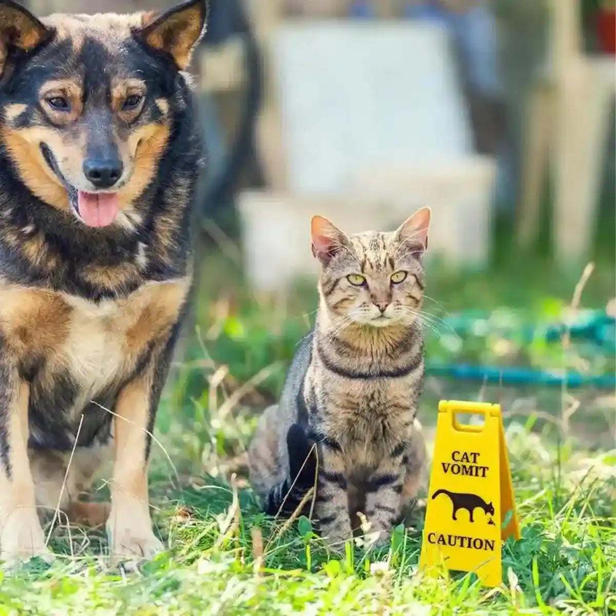 Funny Pet Vomit Warning Signs 2-Pack Cat & Dog Resin Markers