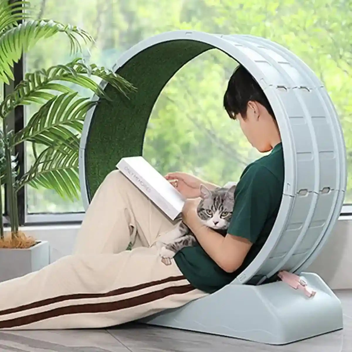 Cat Wheel Running Toy Fitness Exerciser Workout Treadmill Machine Circle Wood