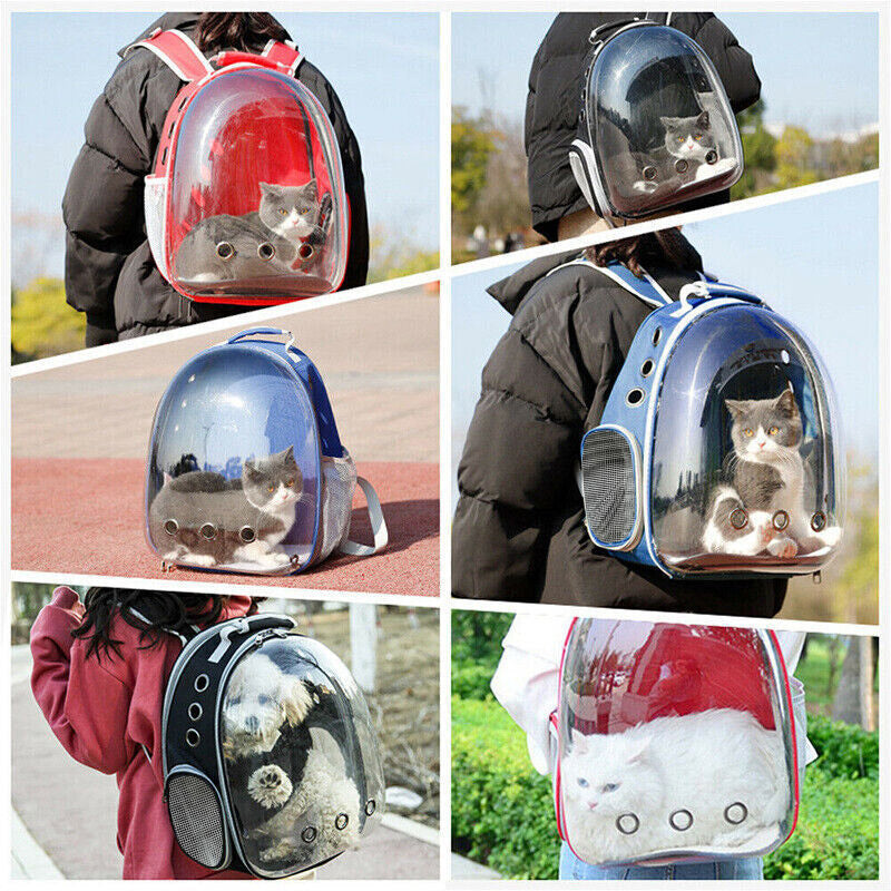 Pet Carrier Backpack With Bubble Window For Small Pets
