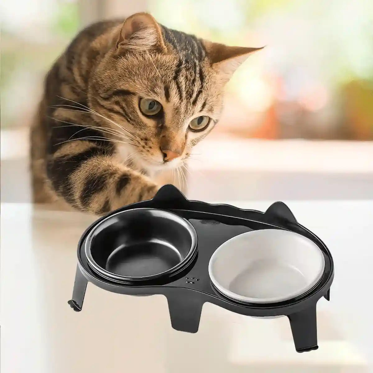 Elevated Ceramic Cat Food Bowls Set with Stand