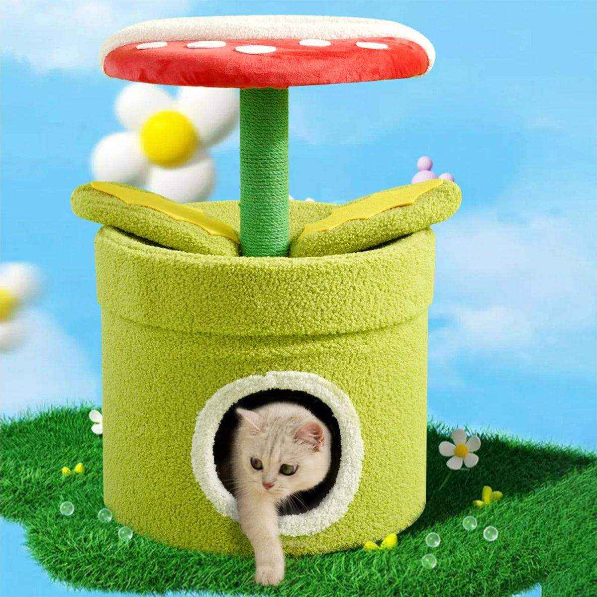 Unique Cat Climbing Frame Add Fun and Flair