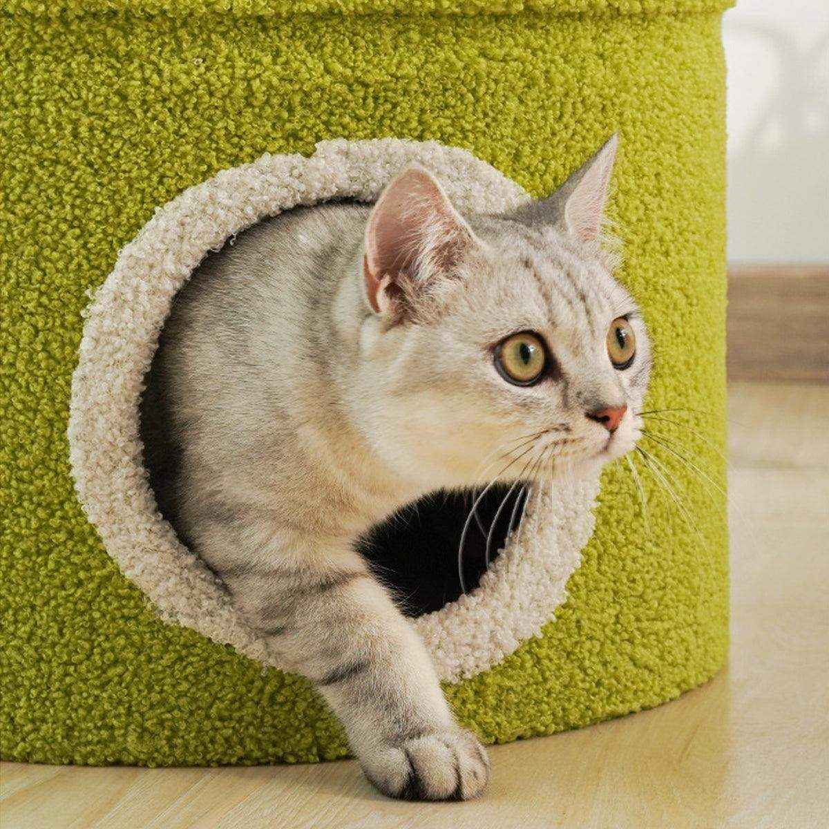 Unique Cat Climbing Frame Add Fun and Flair
