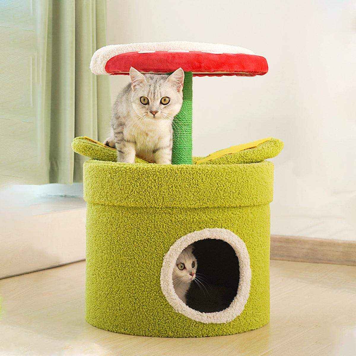 Unique Cat Climbing Frame Add Fun and Flair