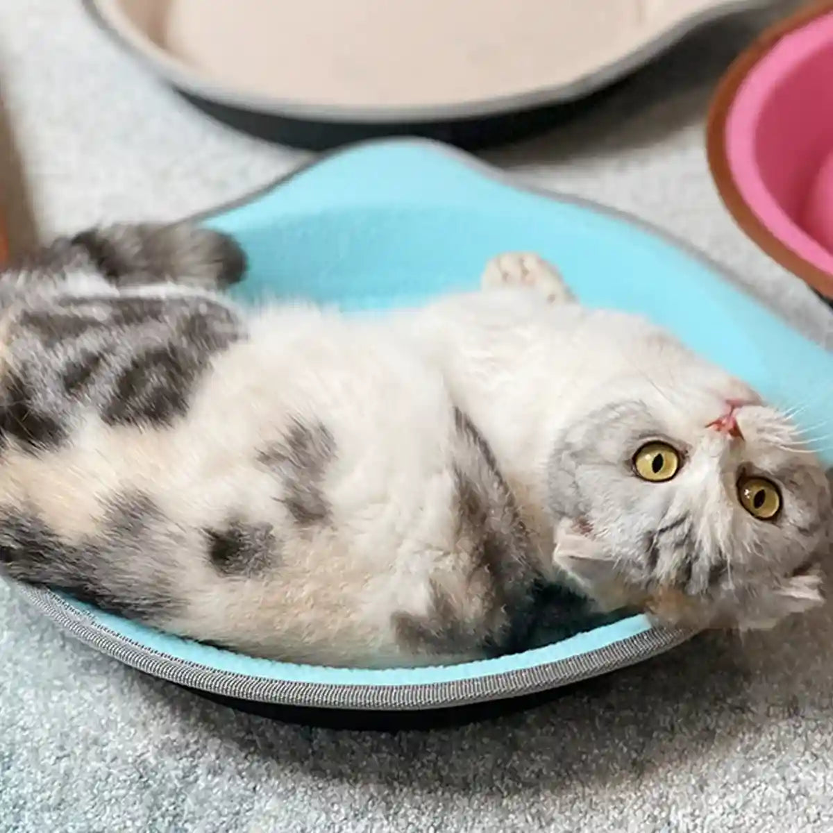 Paper Cat Scratching Board Multi-Use Toy Scratcher & Bed for Cats