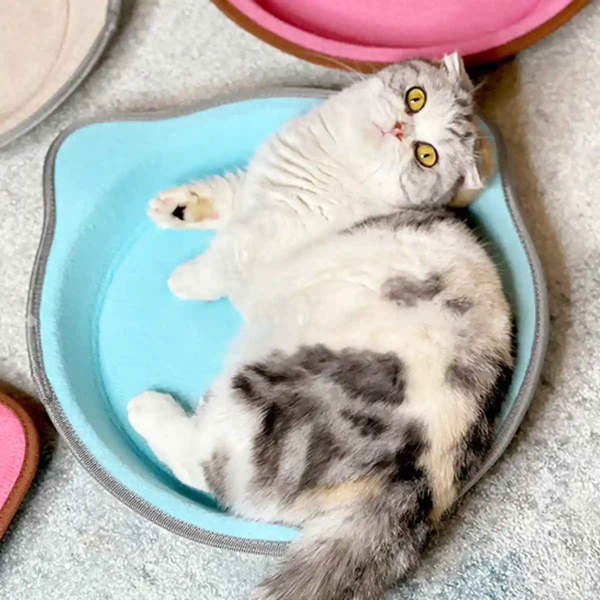 Paper Cat Scratching Board Multi-Use Toy Scratcher & Bed for Cats