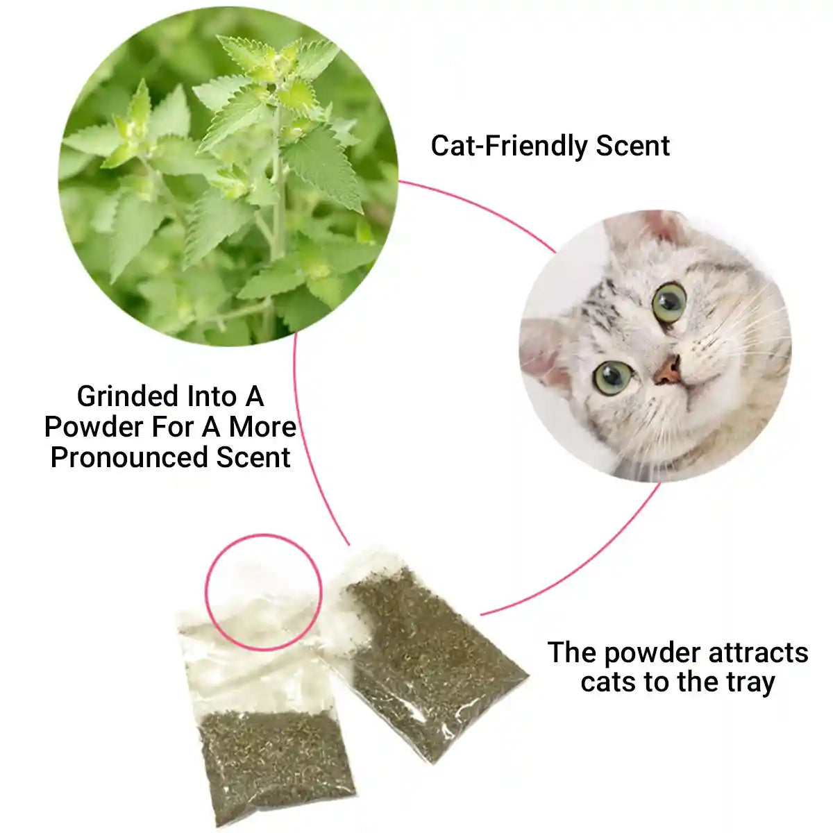 Paper Cat Scratching Board Multi-Use Toy Scratcher & Bed for Cats