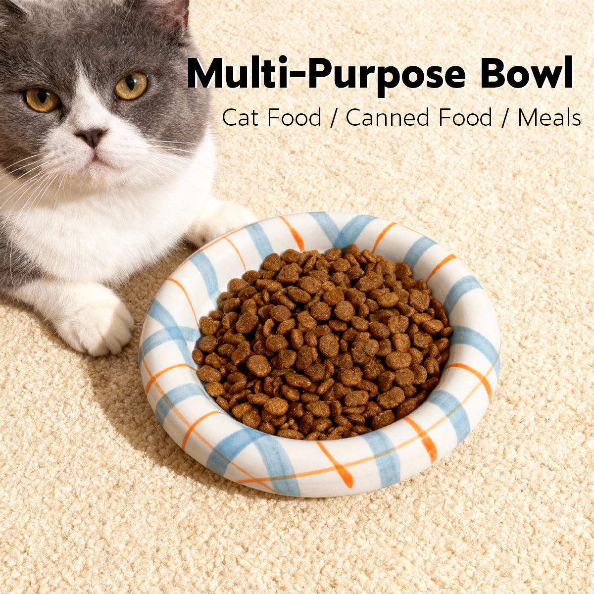 Whisker-Friendly Ceramic Cat Bowl