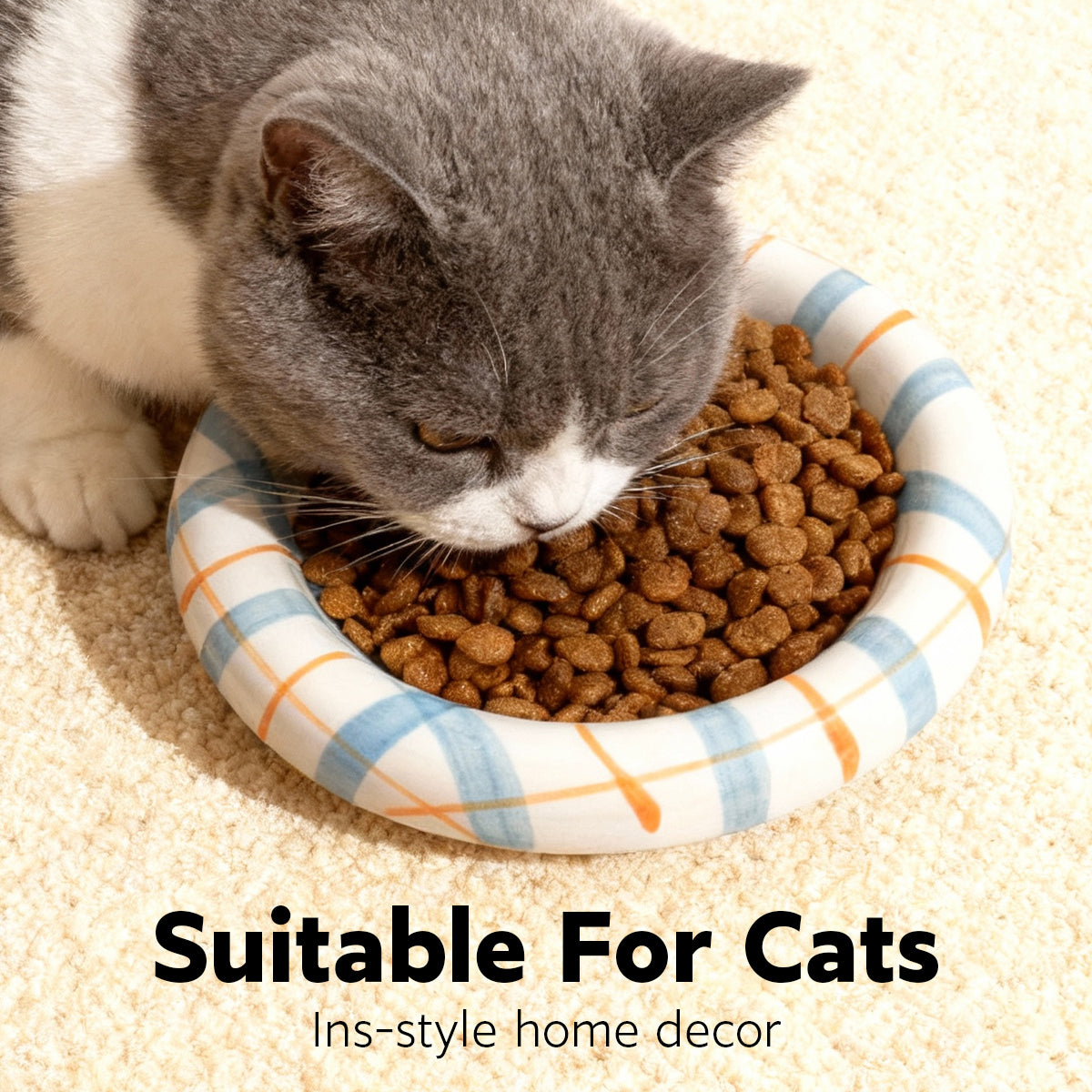 Whisker-Friendly Ceramic Cat Bowl