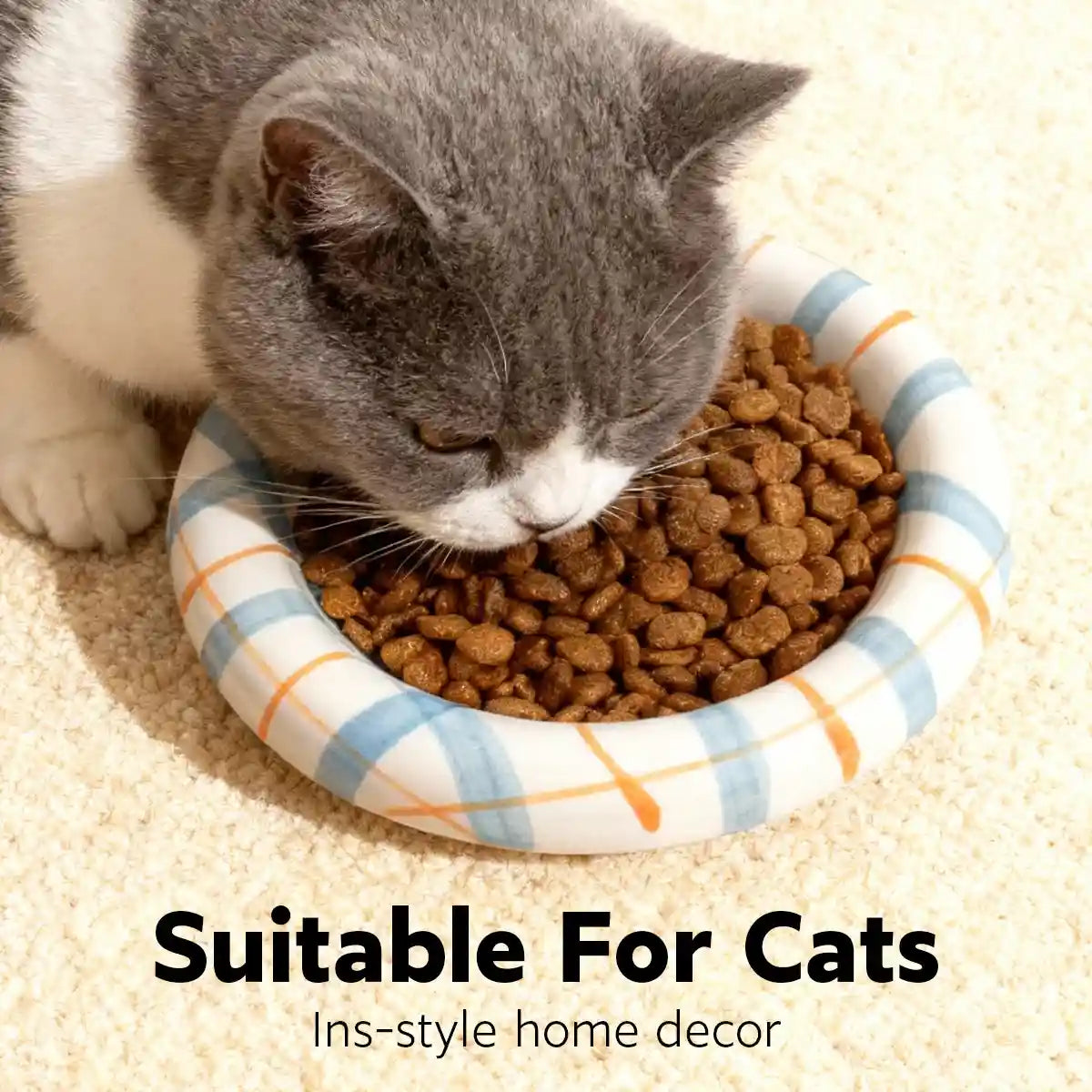 Whisker-Friendly Ceramic Cat Bowl