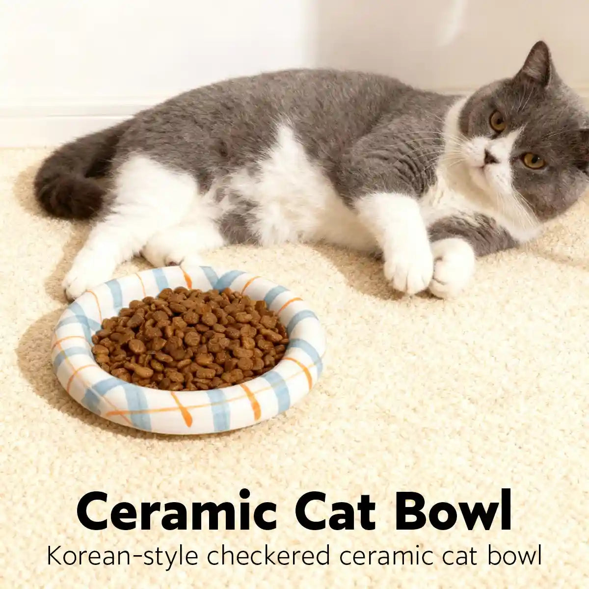 Whisker-Friendly Ceramic Cat Bowl