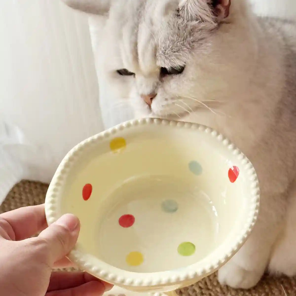 Ceramic Pet Bowl With Elevated Wooden Stand Hygienic & Stable Feeder