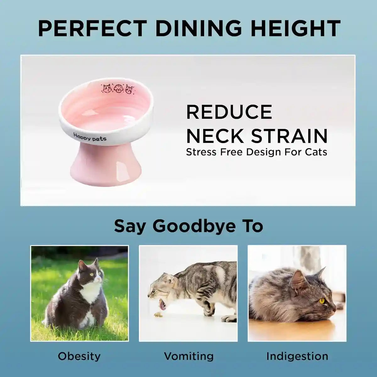 Ceramic Raised Cat Bowl with 15° Tilted Design