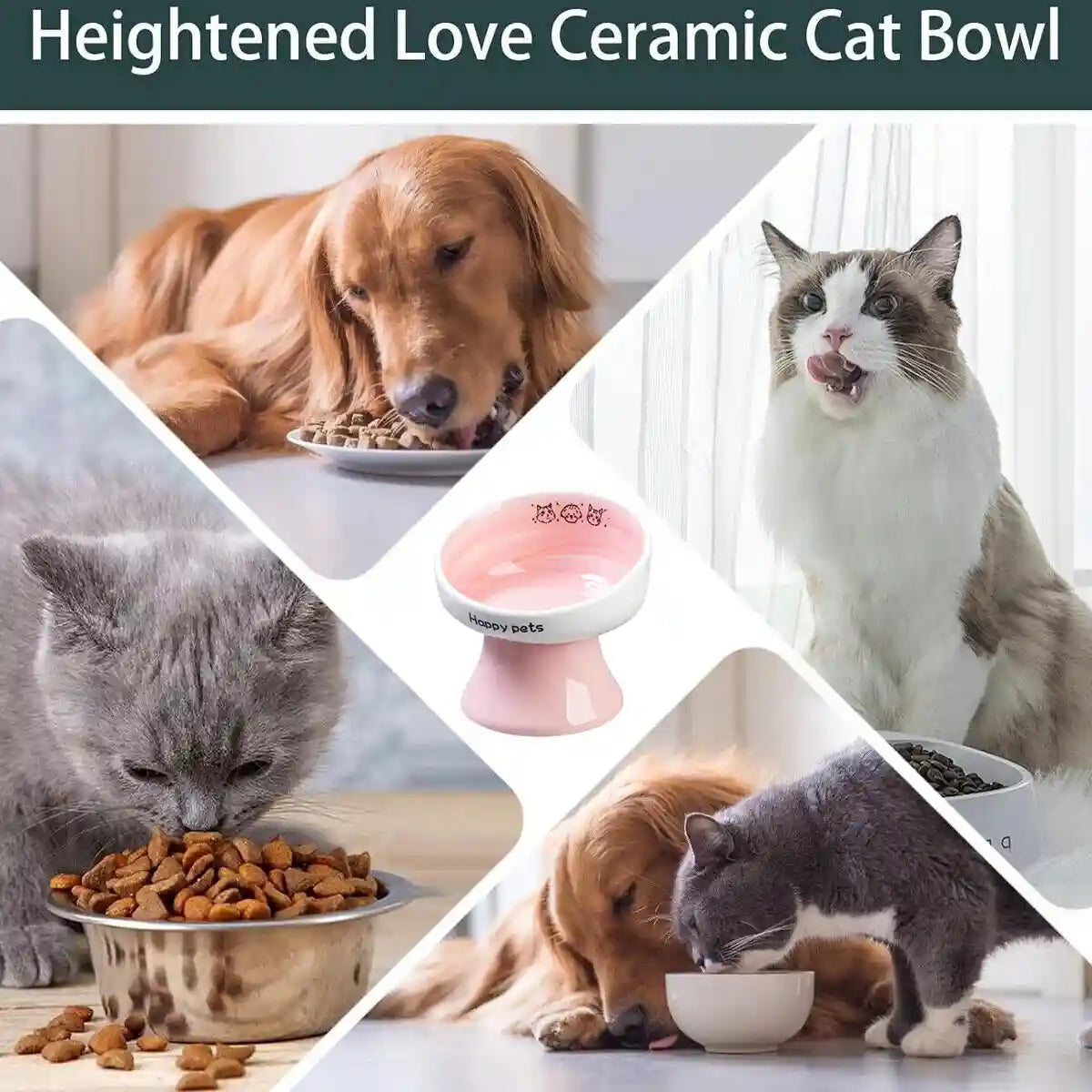 Ceramic Raised Cat Bowl with 15° Tilted Design