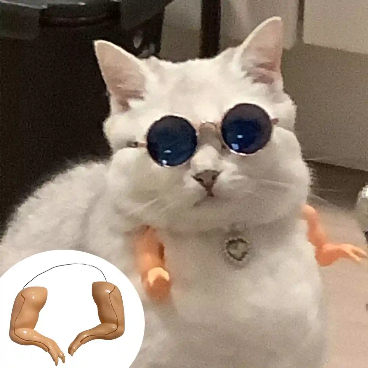 Chicken Arm Decoration Funny Rooster Costume Toy for Pets