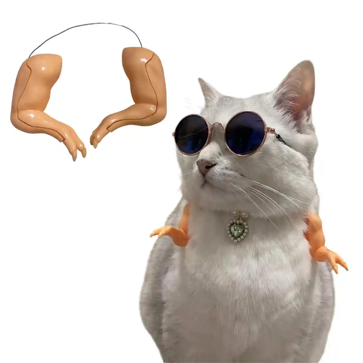 Chicken Arm Decoration Funny Rooster Costume Toy for Pets