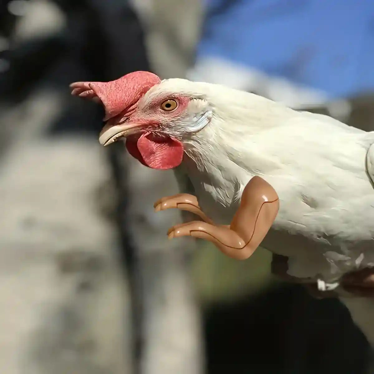 Chicken Arm Decoration Funny Rooster Costume Toy for Pets