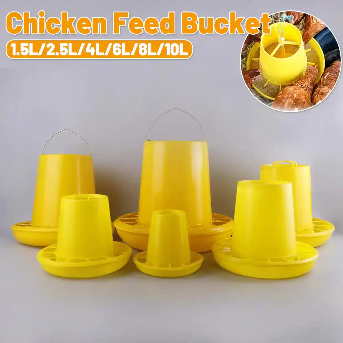 Durable Poultry Feeder Chicken & Hen Feed Dispenser (1.5L–10L)
