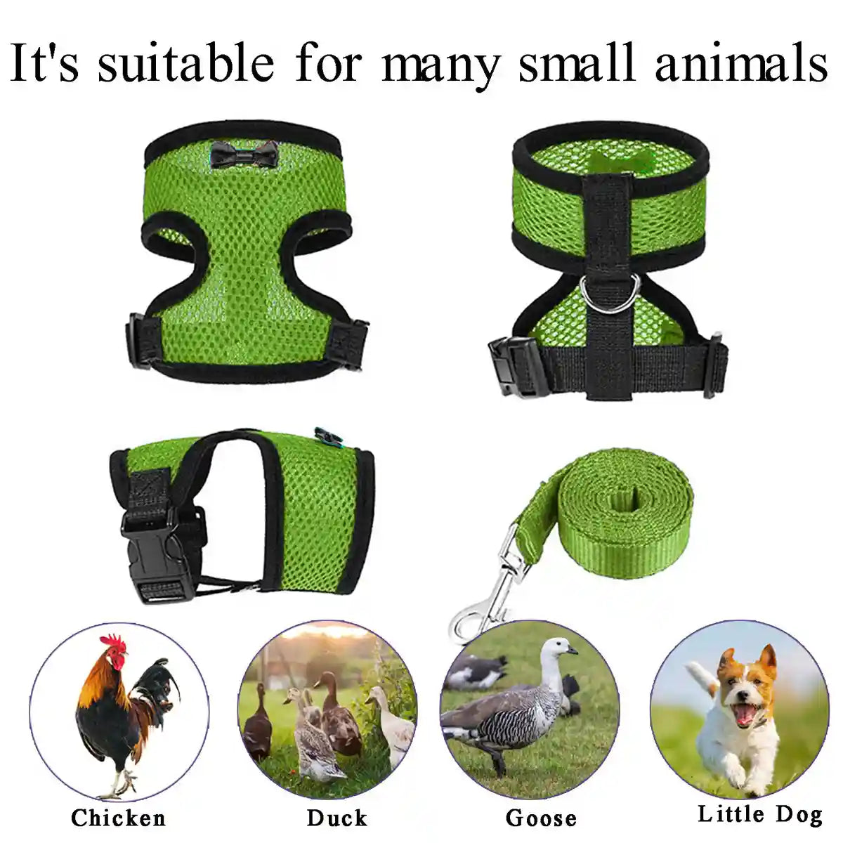 Adjustable Chicken Harness with Leash Breathable Mesh Vest for Poultry