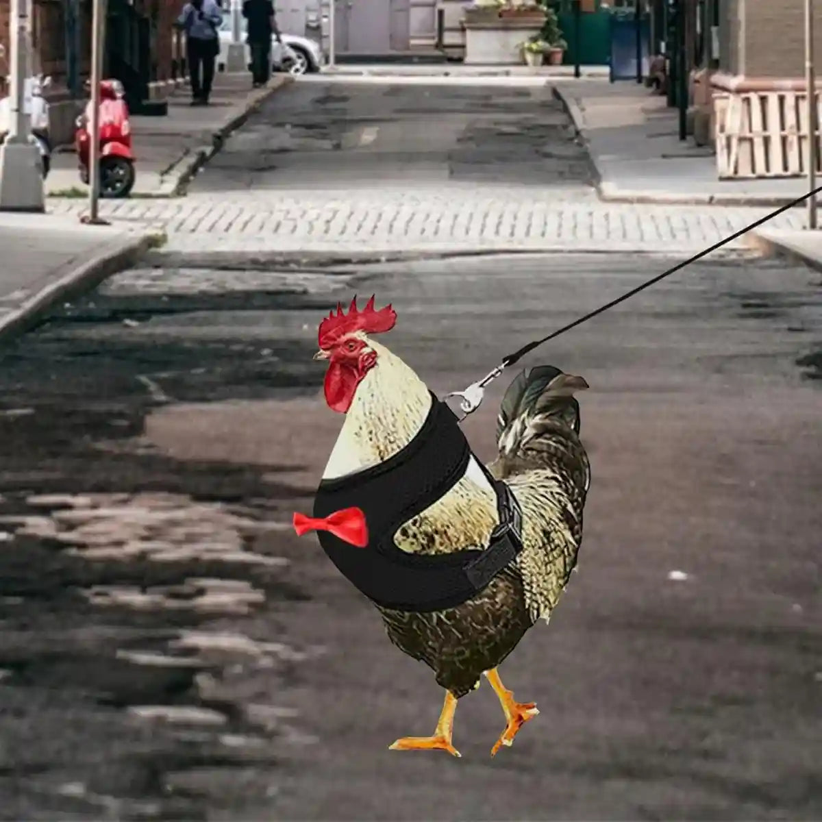 Adjustable Chicken Harness with Leash Breathable Mesh Vest for Poultry