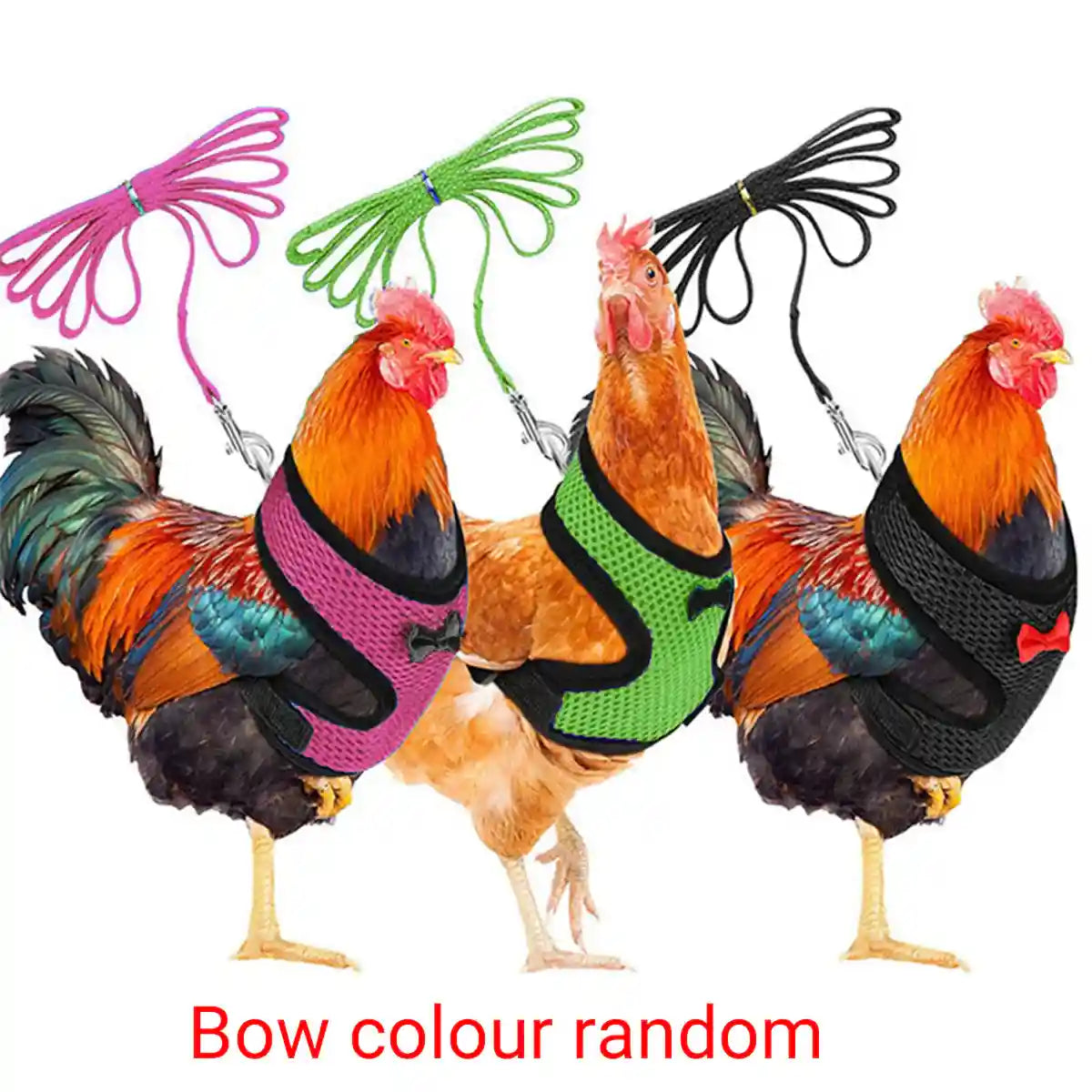 Adjustable Chicken Harness with Leash Breathable Mesh Vest for Poultry