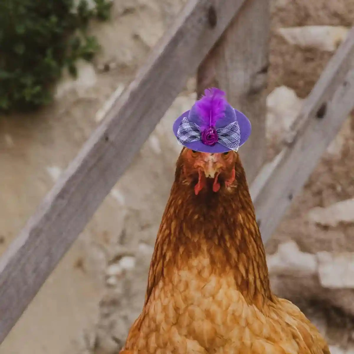 Flexible Jungle Climbing Vines 180cm Reptile Terrarium Decoration