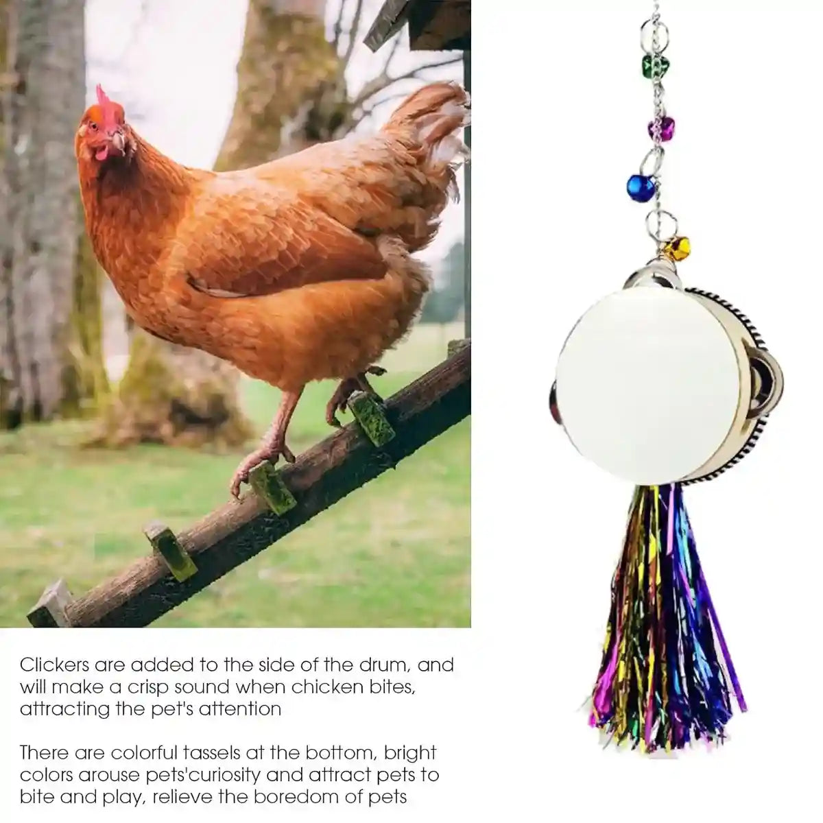 Hanging Mirror Drum Chicken Toys for Coop Enrichment and Fun