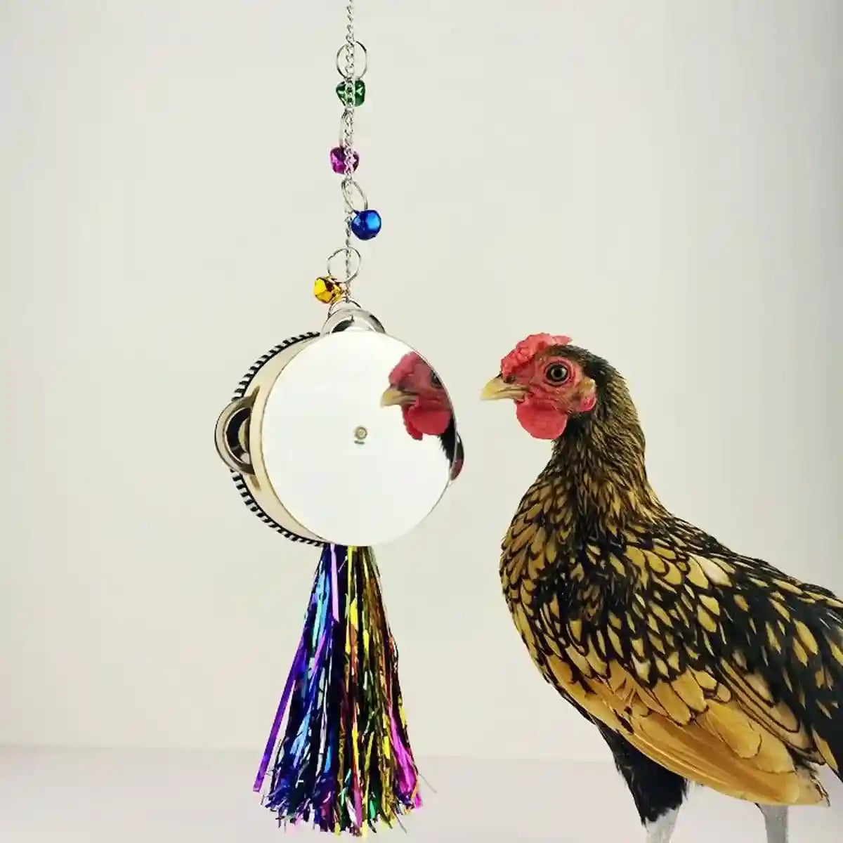 Hanging Mirror Drum Chicken Toys for Coop Enrichment and Fun