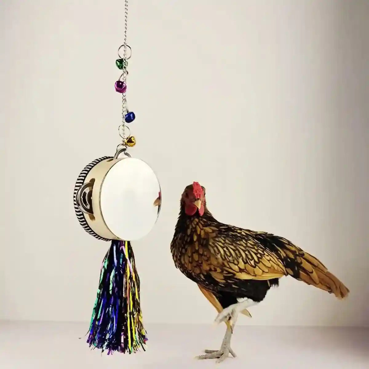 Hanging Mirror Drum Chicken Toys for Coop Enrichment and Fun