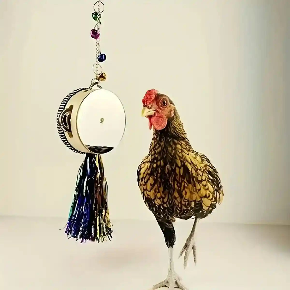 Hanging Mirror Drum Chicken Toys for Coop Enrichment and Fun