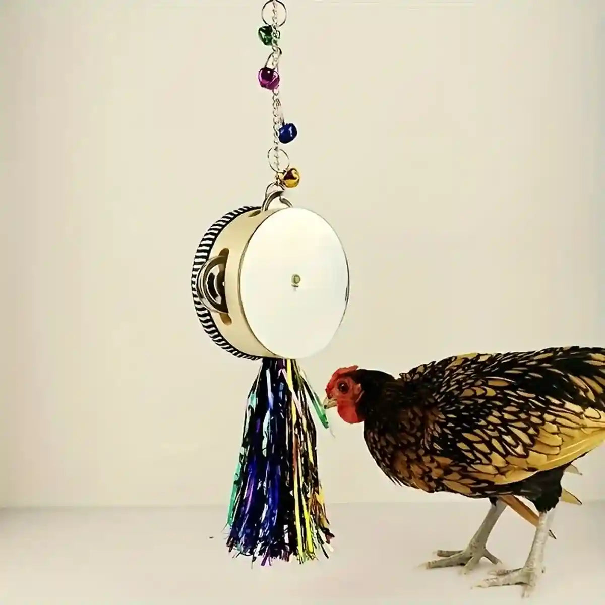Hanging Mirror Drum Chicken Toys for Coop Enrichment and Fun