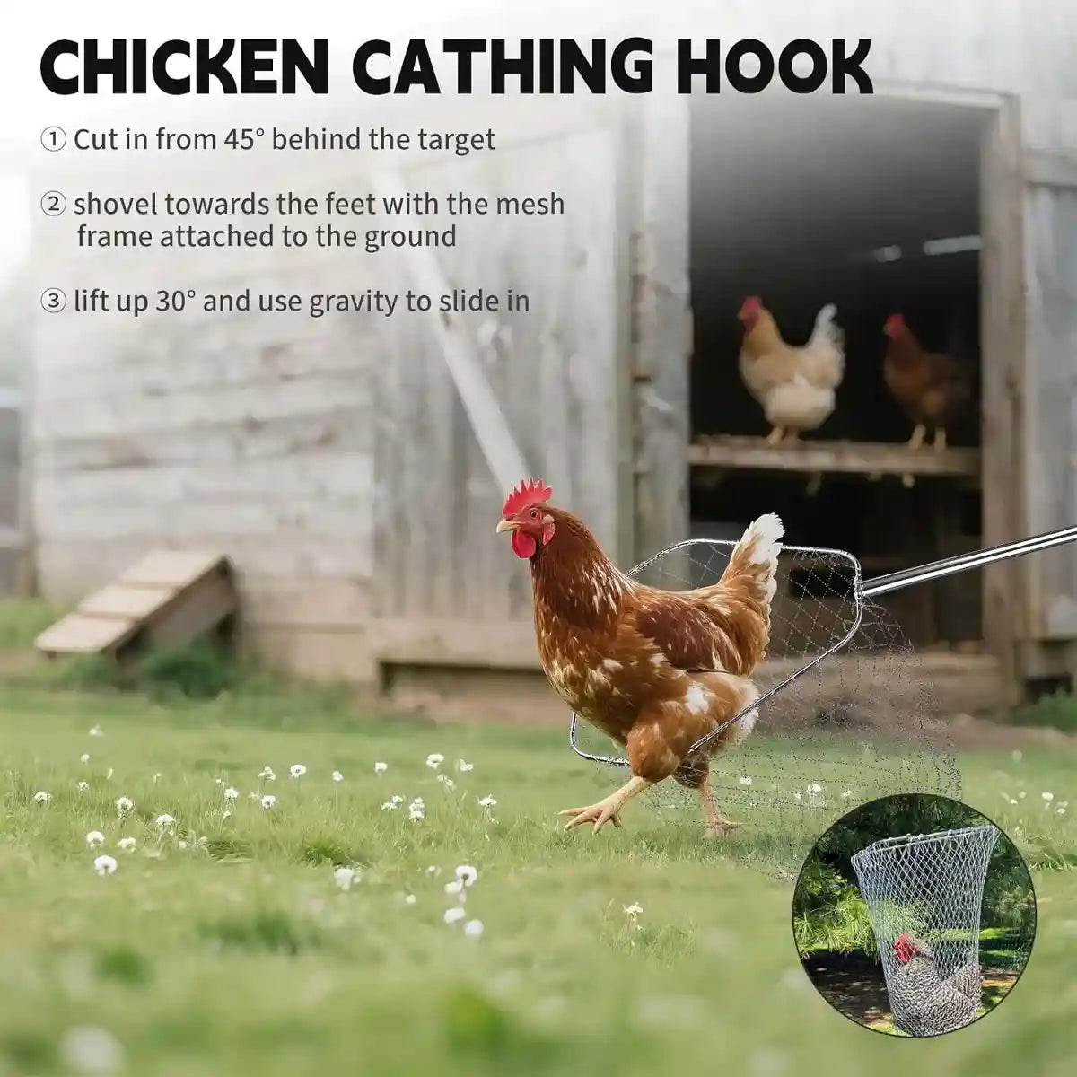 Adjustable Chicken Net Catcher Stainless Steel Poultry Catching Tool