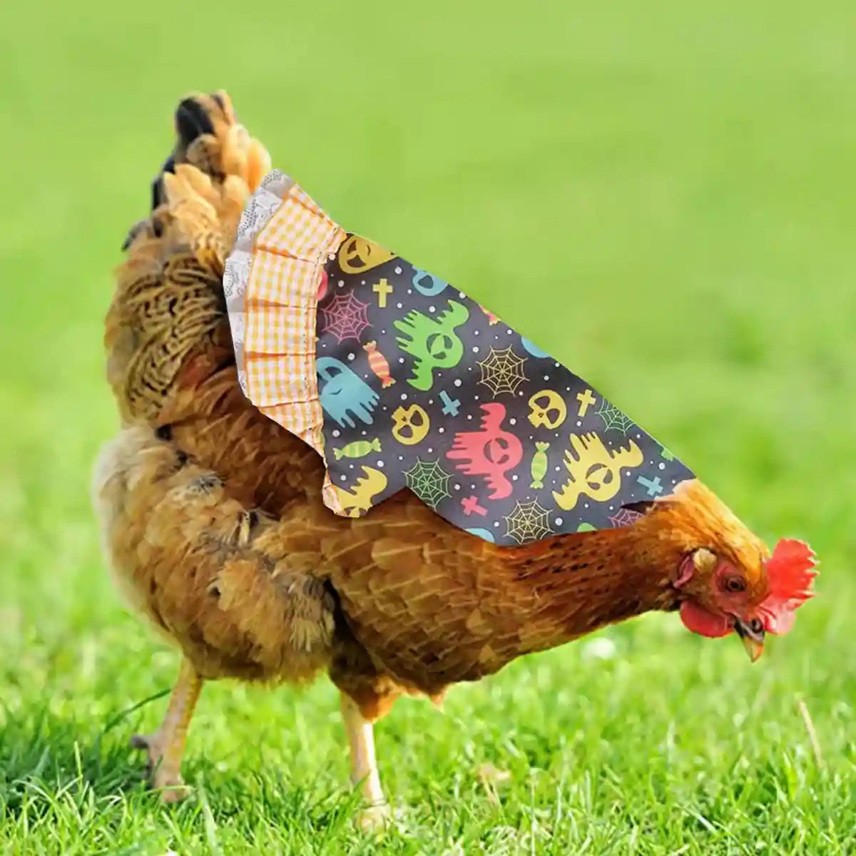 Halloween Chicken Saddle Apron with Festive Prints for Hens