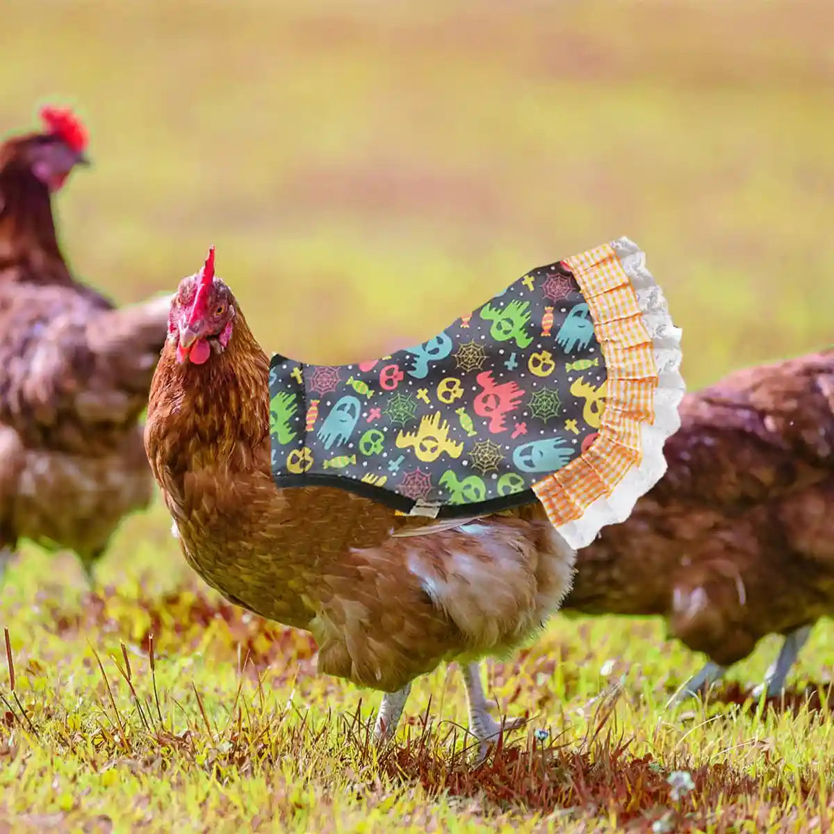 Halloween Chicken Saddle Apron with Festive Prints for Hens