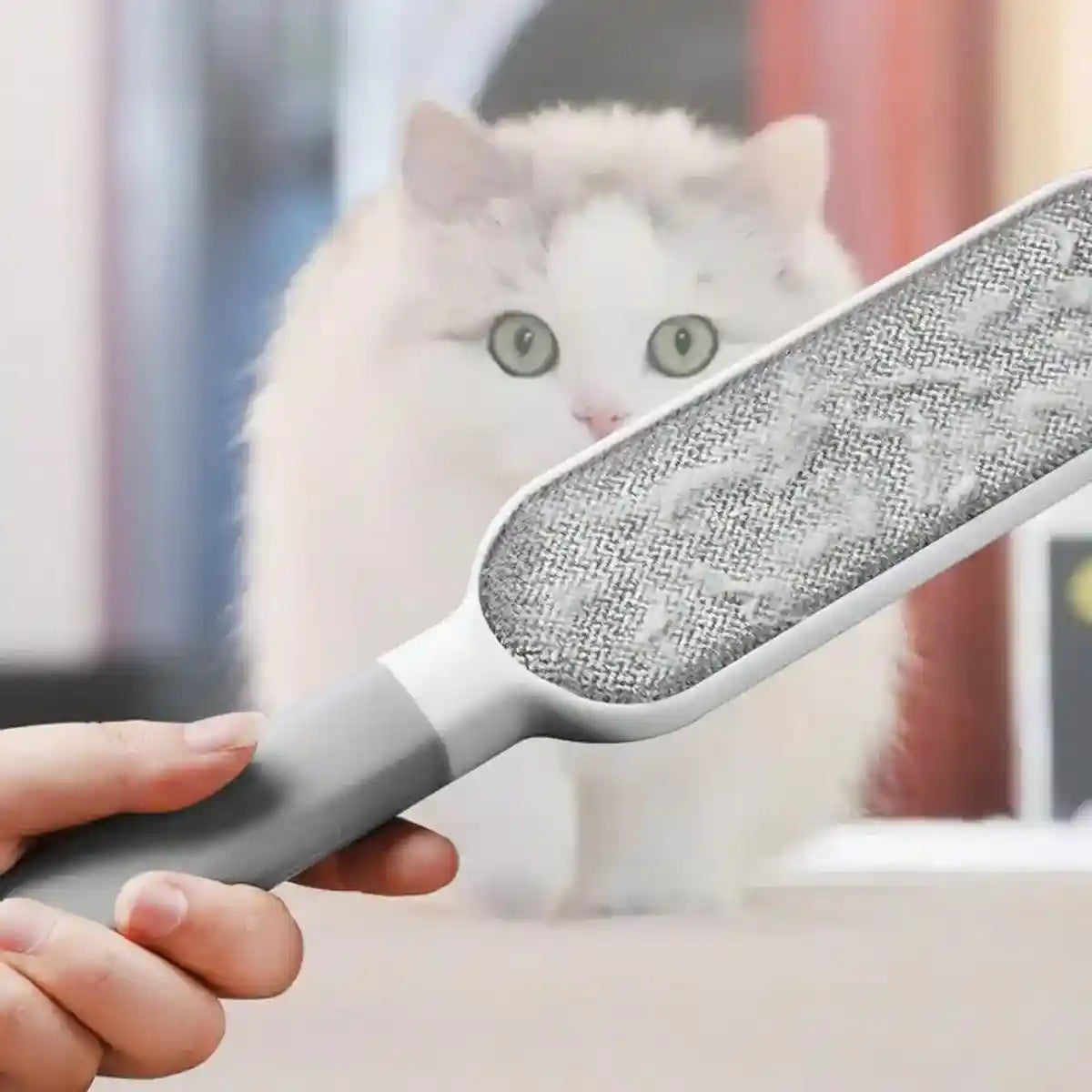 Reusable Pet Hair Remover Brush for Clothes Carpet & Sofa