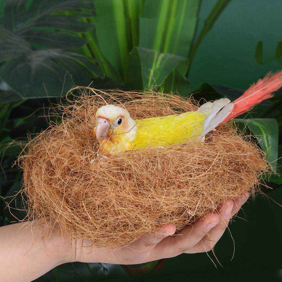 Premium Bird Nest Material with Natural Coconut Fiber for Comfortable Breeding