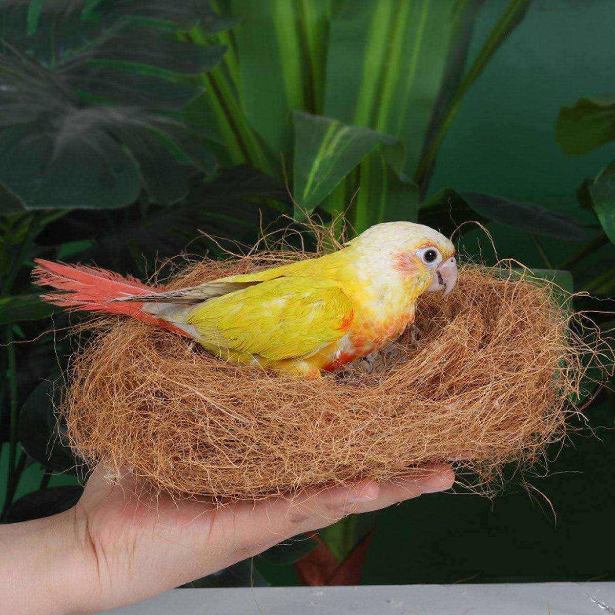 Premium Bird Nest Material with Natural Coconut Fiber for Comfortable Breeding
