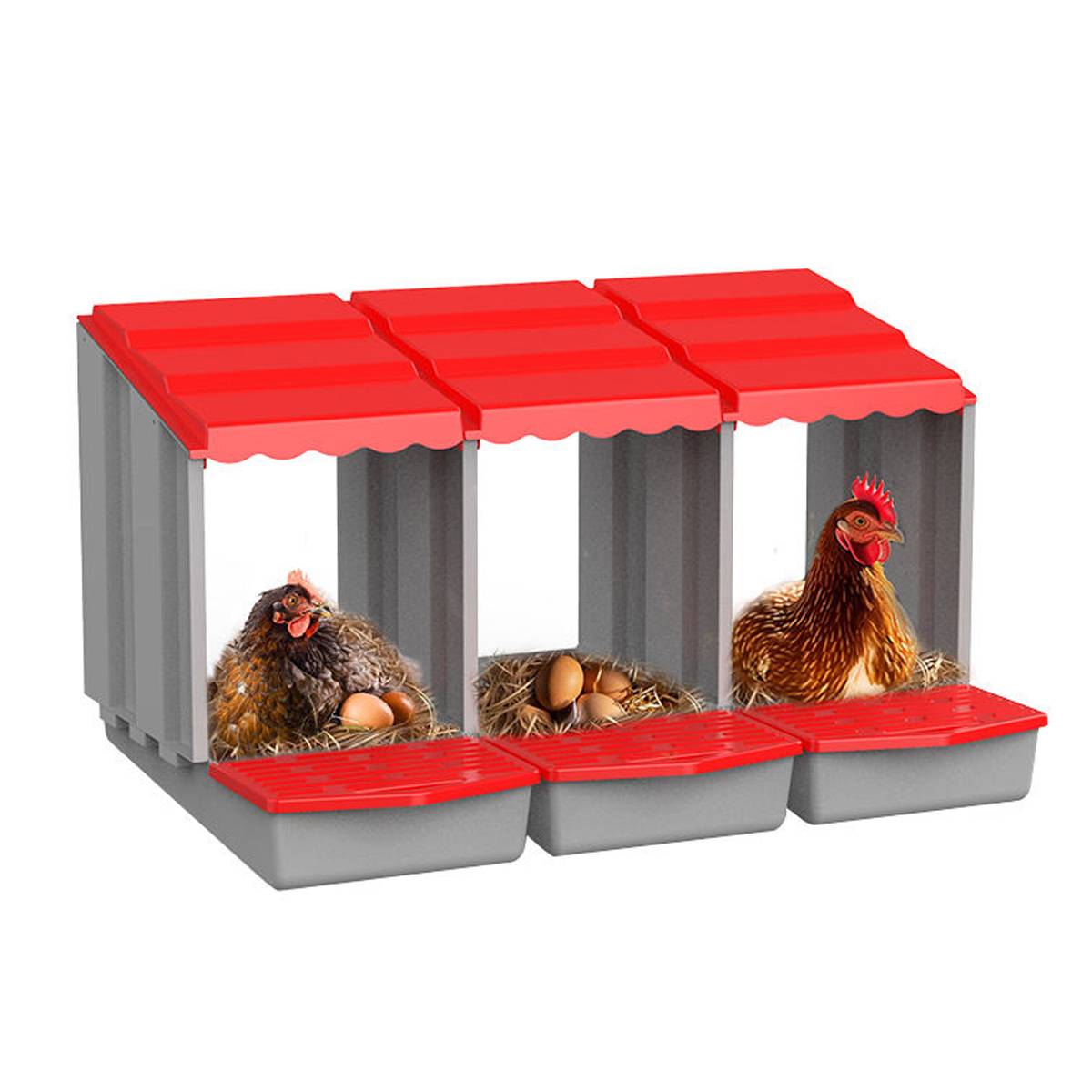 3-Compartment Chicken Nesting Box | Egg Laying Coop for Poultry