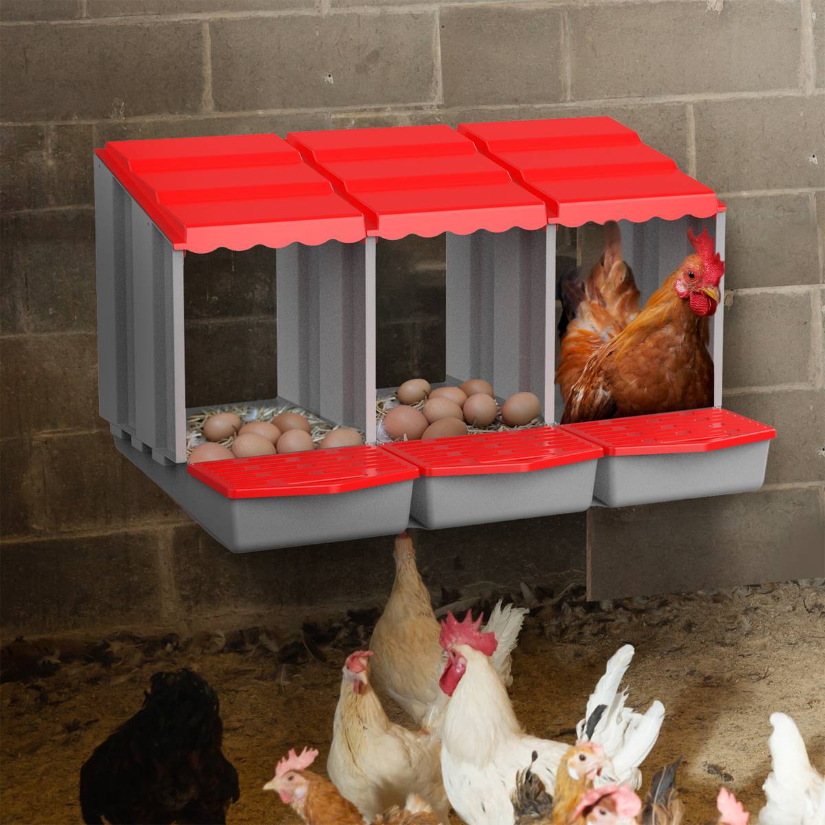 3-Compartment Chicken Nesting Box | Egg Laying Coop for Poultry