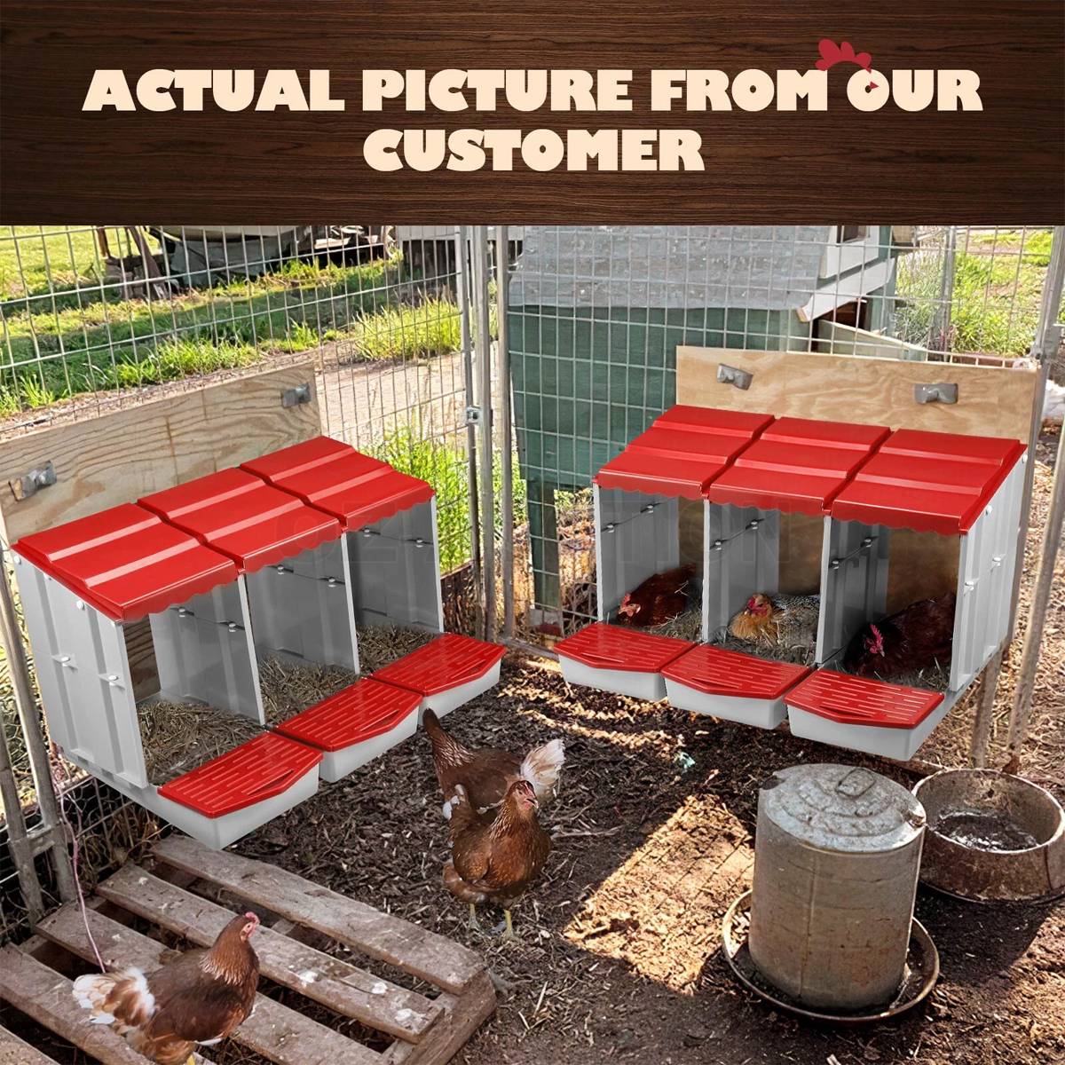 3-Compartment Chicken Nesting Box | Egg Laying Coop for Poultry