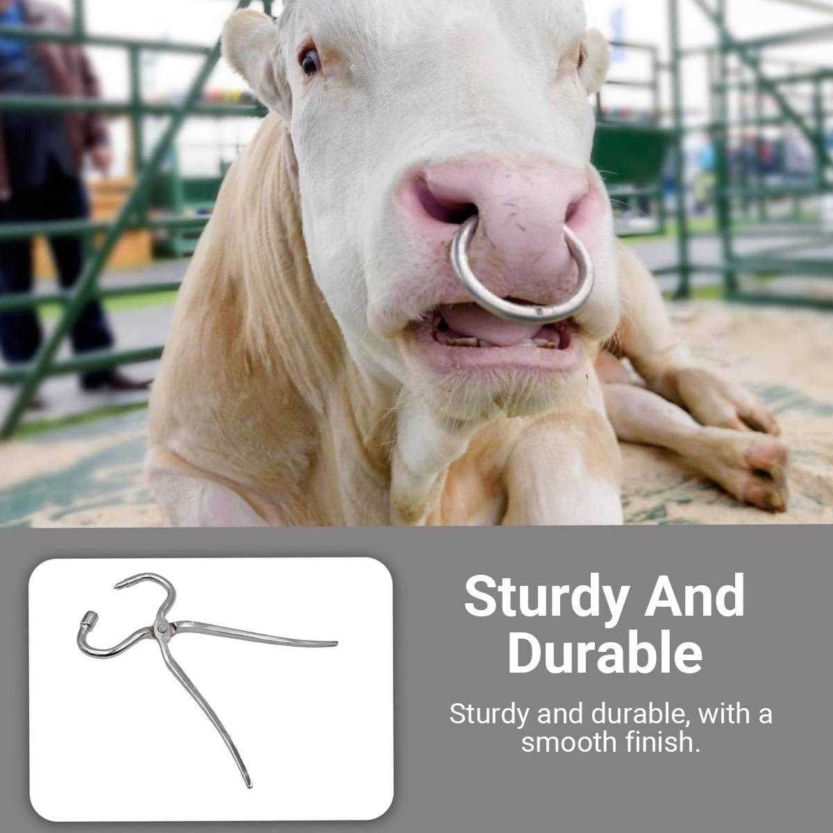 Cow Nose Piercing Pliers