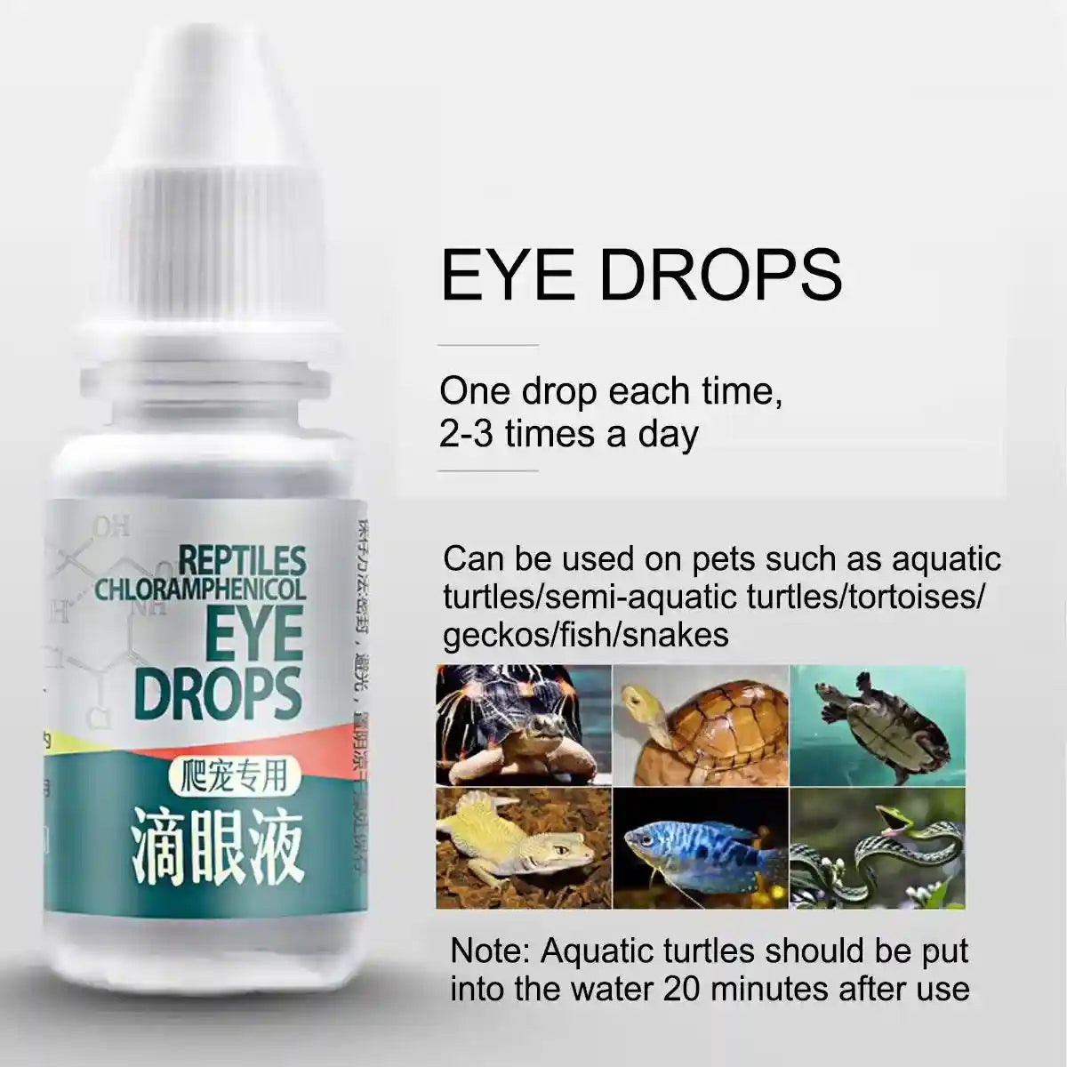 Chloramphenicol Turtle Eye Drops Antibacterial Care for Healthy Reptile Eyes