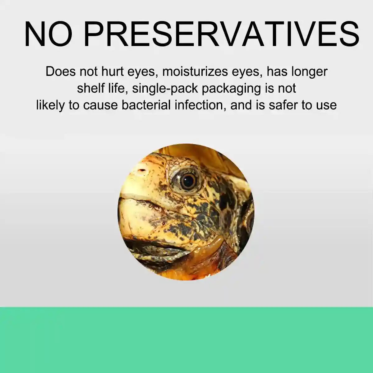 Chloramphenicol Turtle Eye Drops Antibacterial Care for Healthy Reptile Eyes