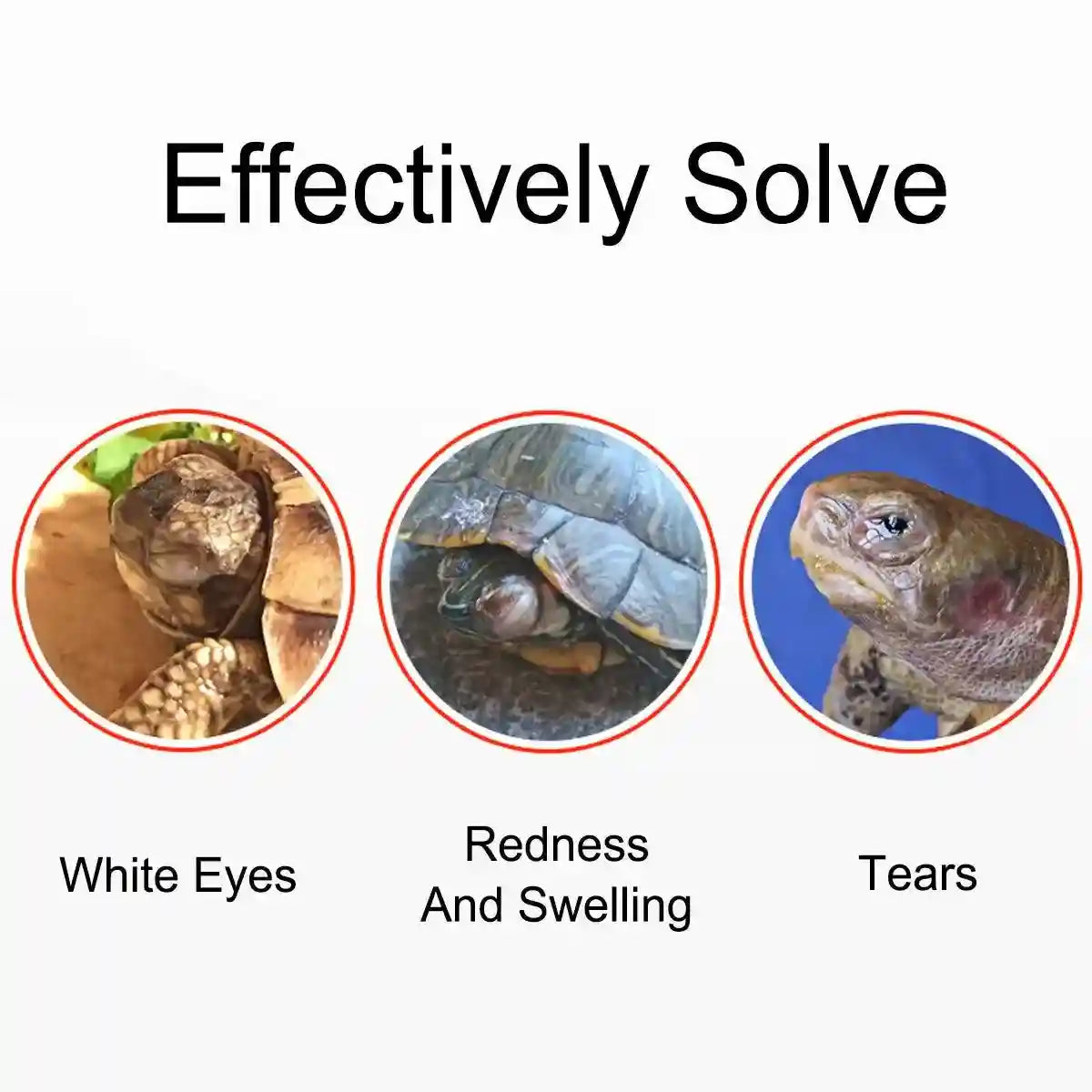 Chloramphenicol Turtle Eye Drops Antibacterial Care for Healthy Reptile Eyes